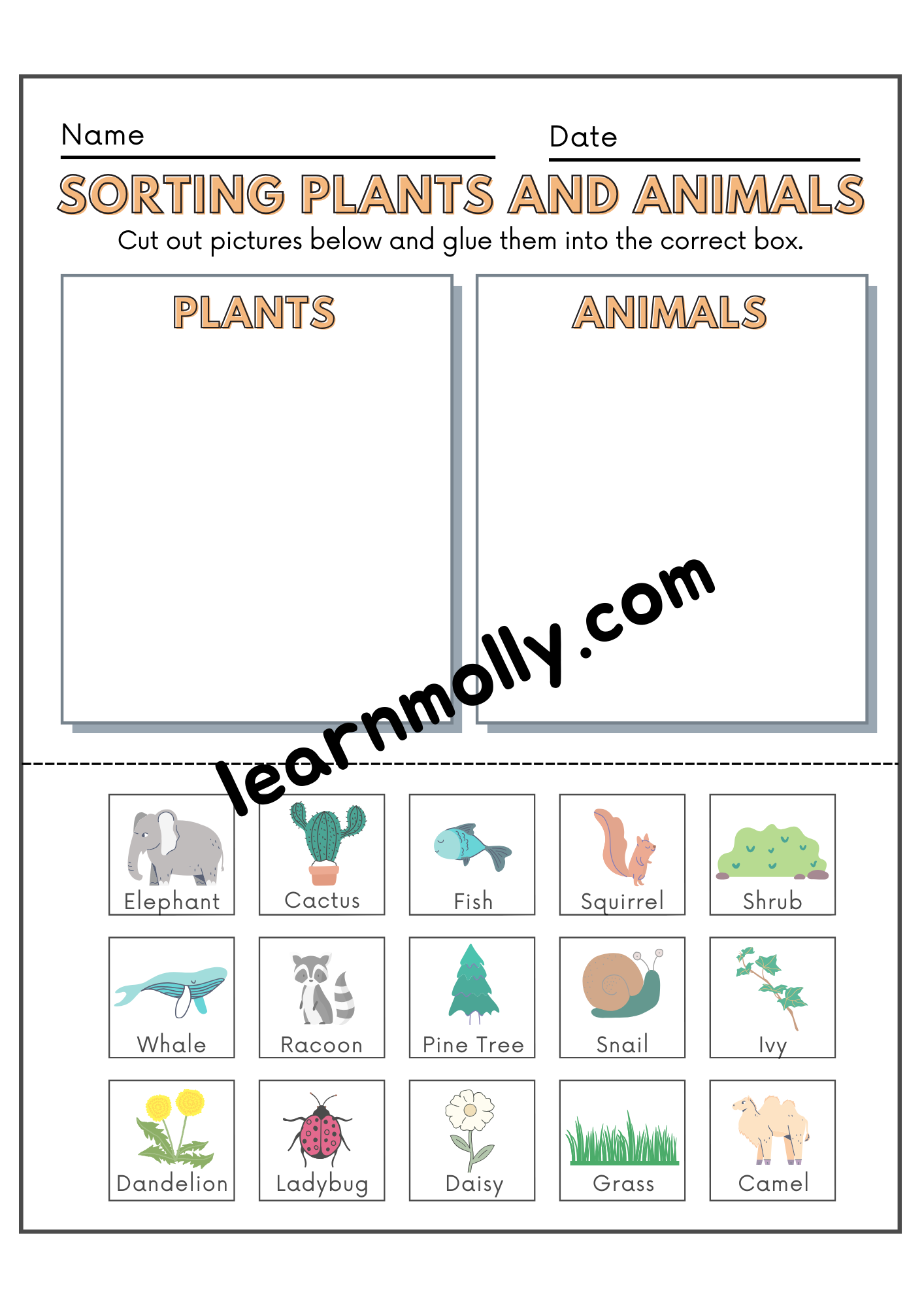 Sort Animals & Plants Worksheet