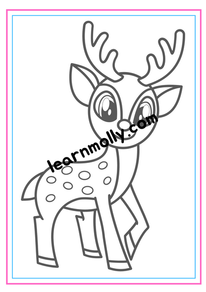 Fun Colouring Book- Animals