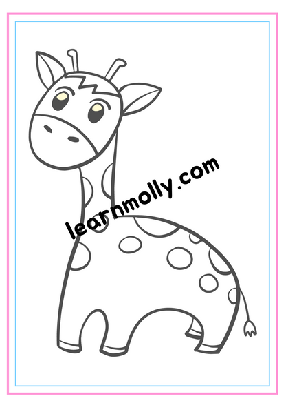 Fun Colouring Book- Animals