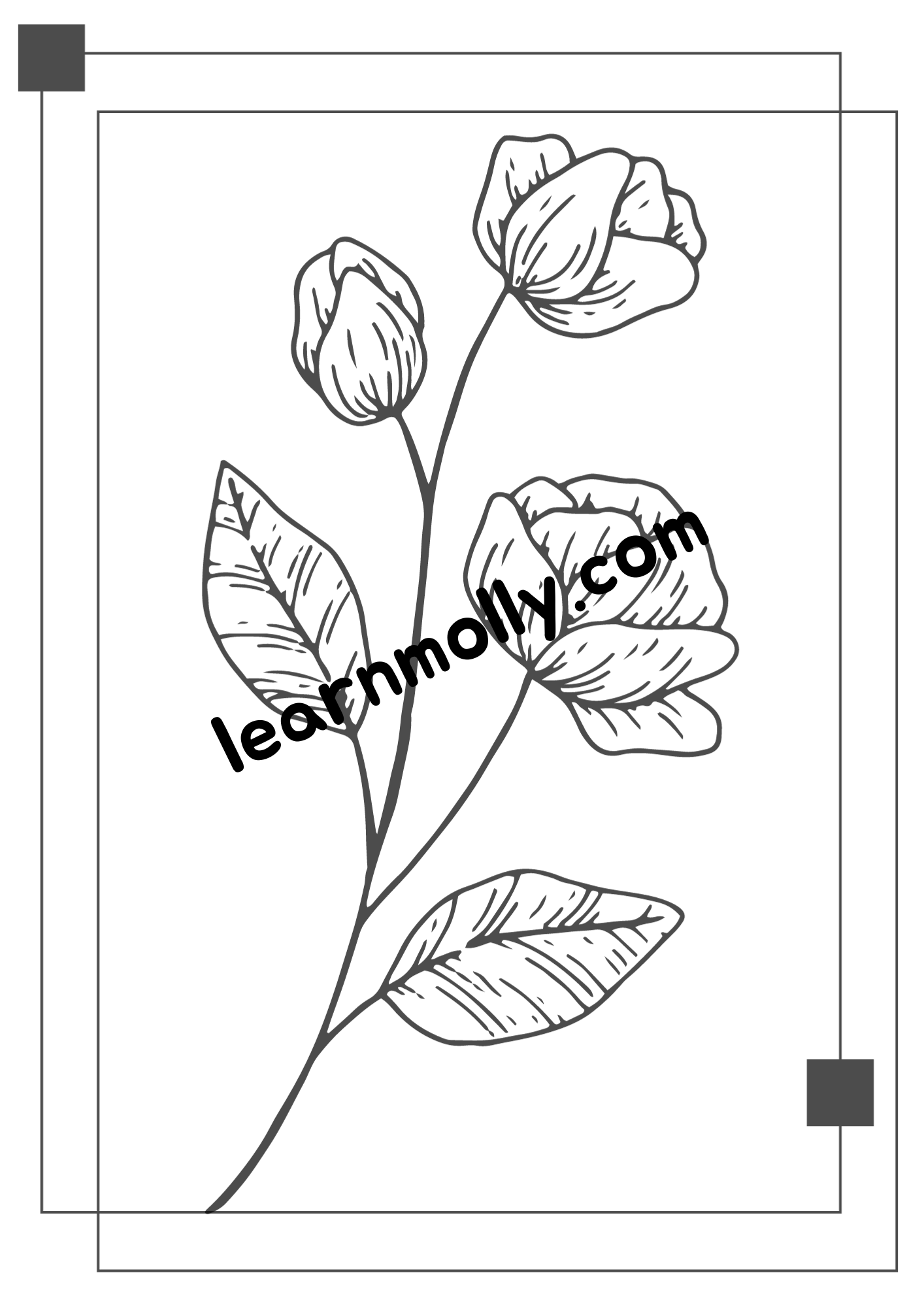 Fun Colouring Book- Garden