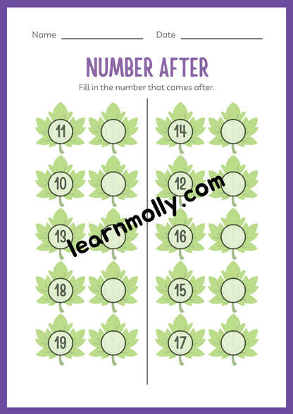 Number Fun Workbook