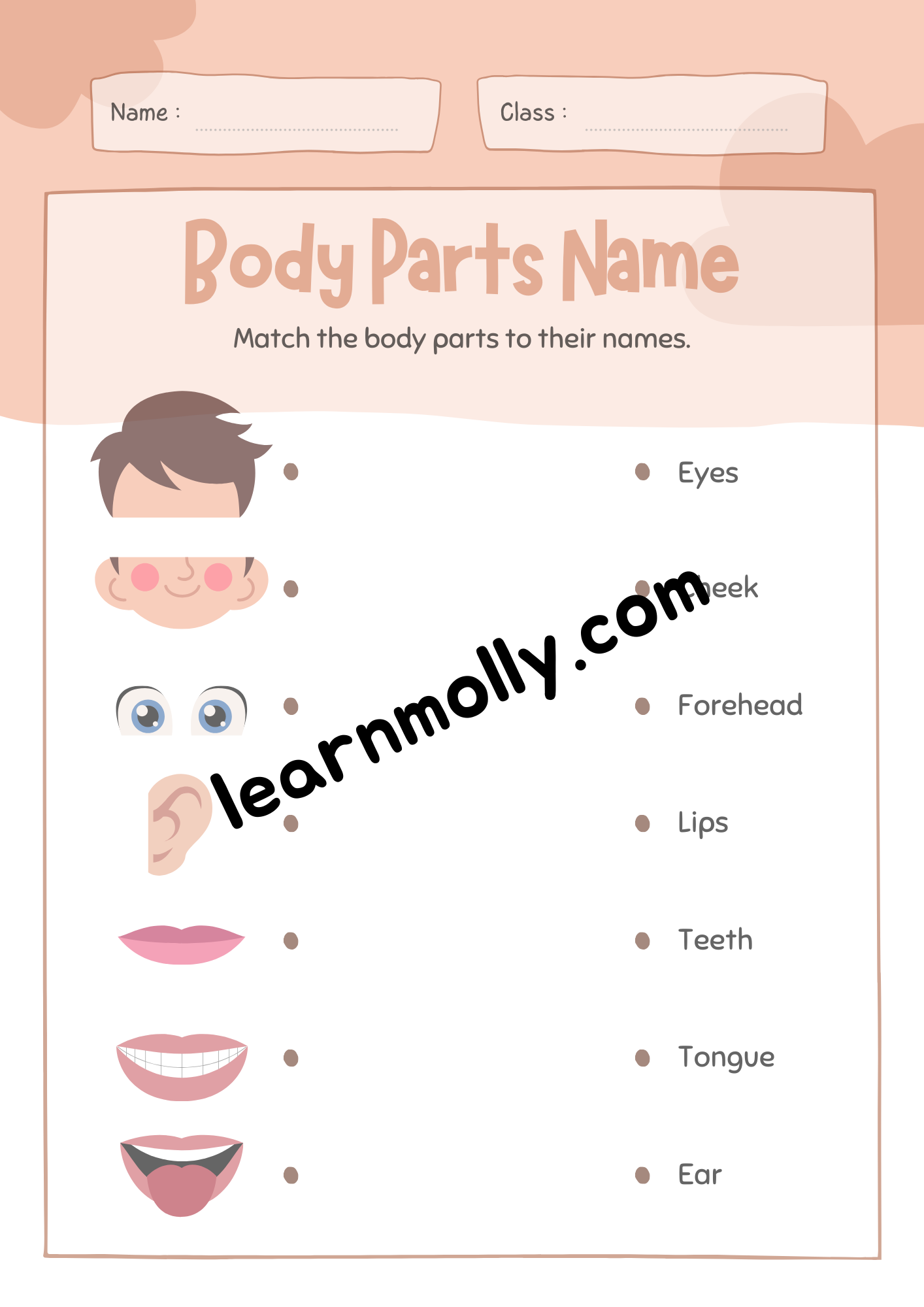 Parts of the Body- Matching Worksheet