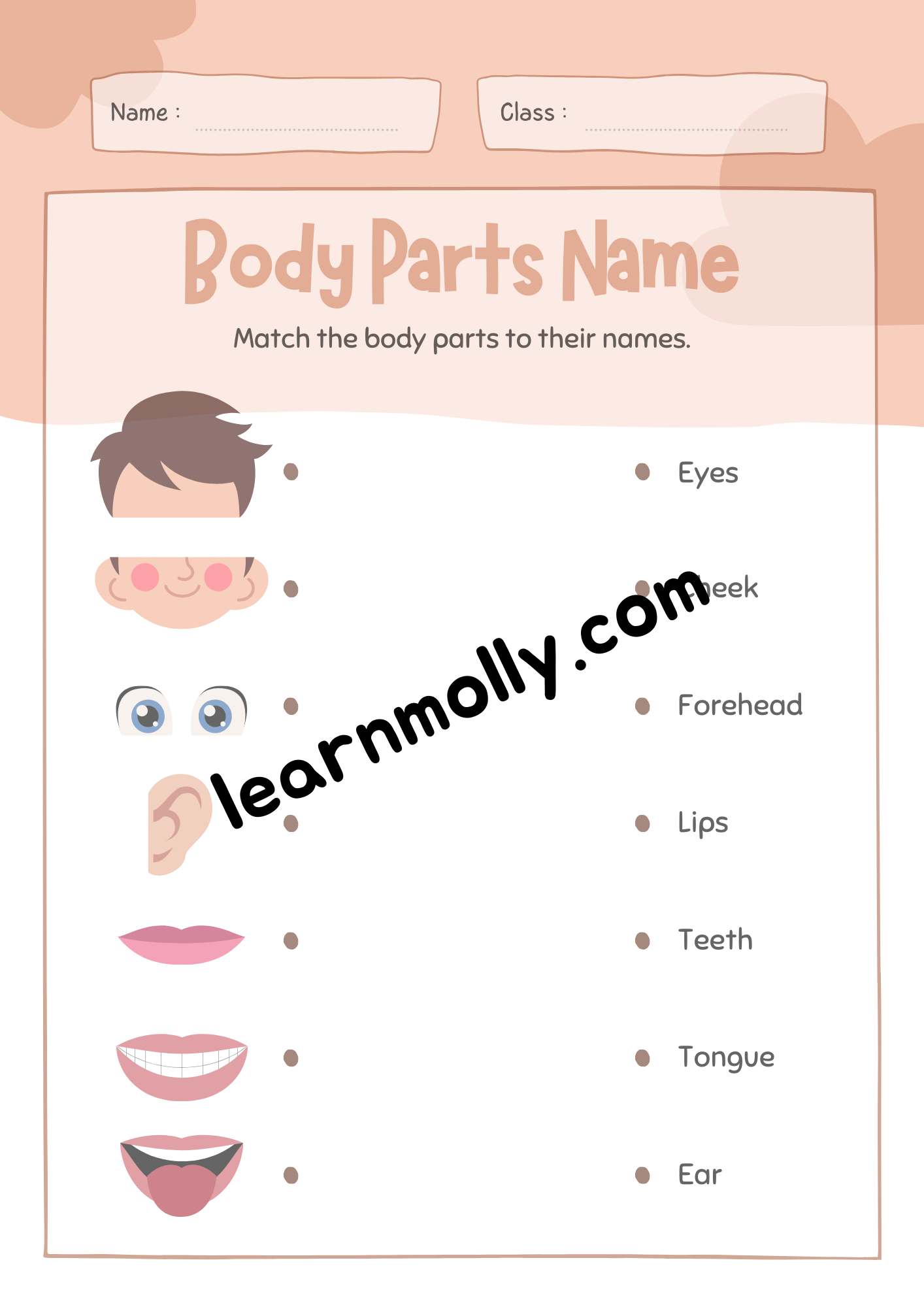 Parts of the Body- Matching Worksheet – Ask Molly