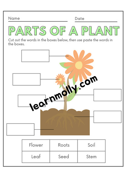 Learn about Plants