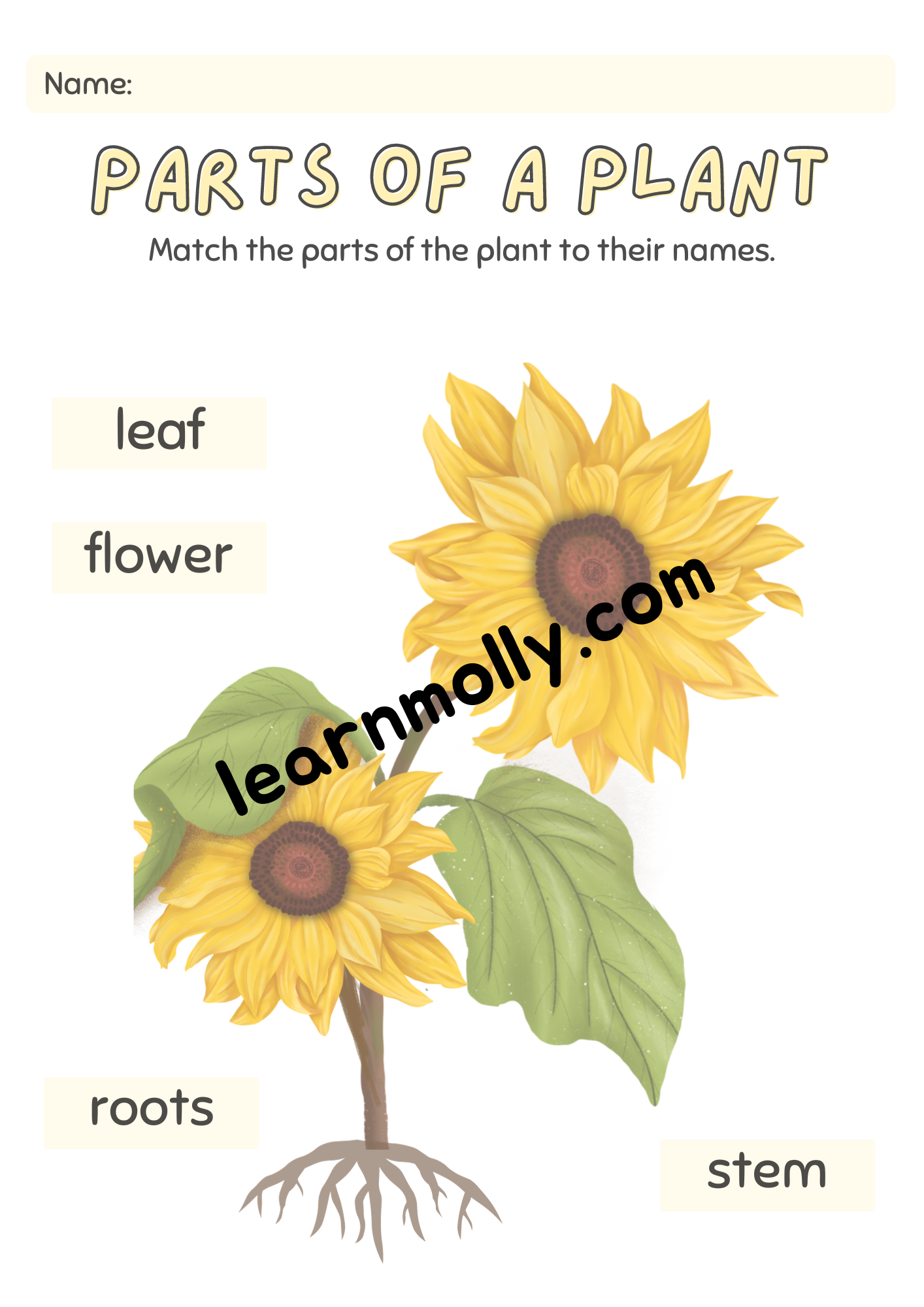 Learn about Plants