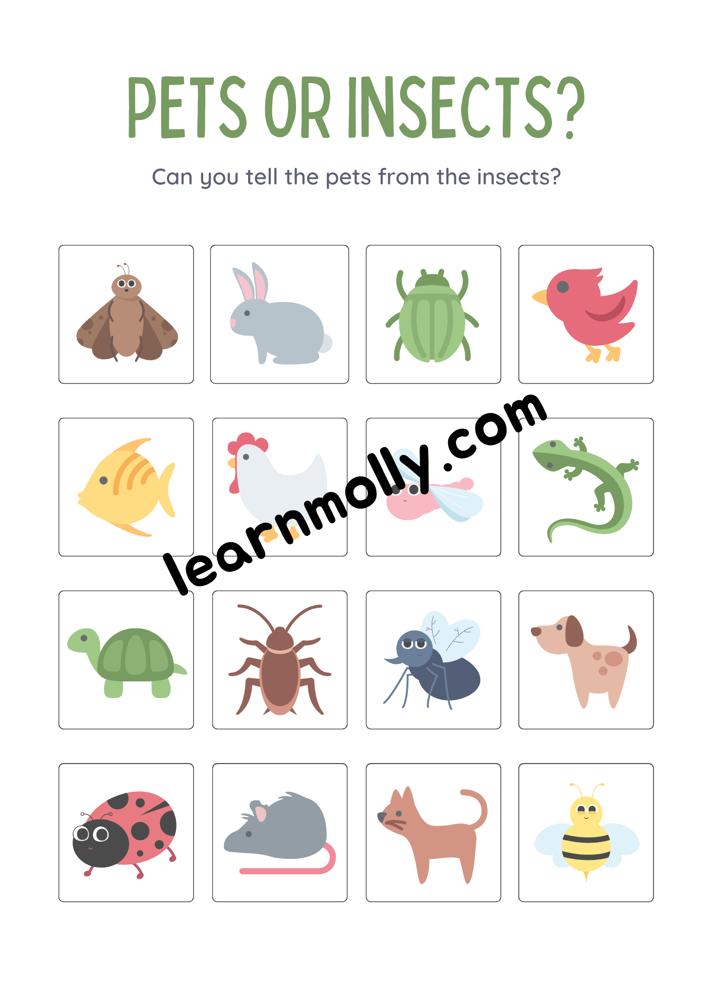 Identify Pets & Insect Worksheet